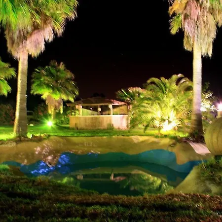Wawa تريفة